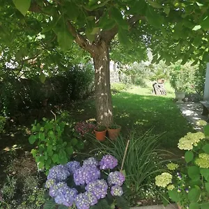 Vellico Apartman